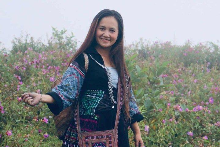 Sapa 1 Day Trek with Ha Y Linh Ho Lao Chai and Ta Van Villages