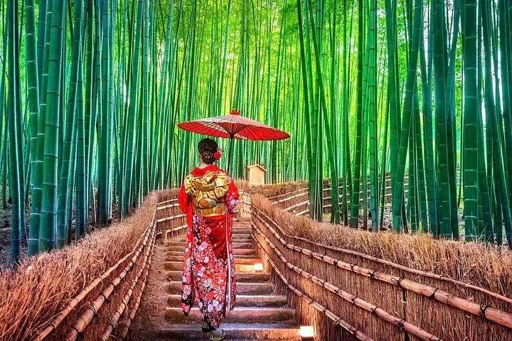 Privat guidet 10-timers tur til Kyoto
