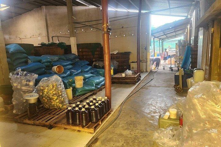 ホイアン日の出-魚市場＆隠れた地元の村