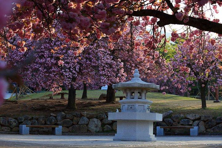 釜山からのスカイクプセル付き慶州歴史地区ツアー