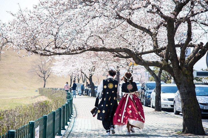 釜山からのスカイクプセル付き慶州歴史地区ツアー