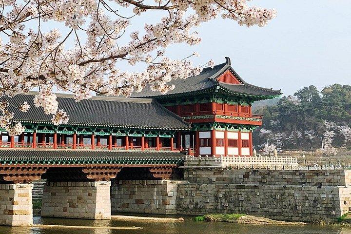 釜山からのスカイクプセル付き慶州歴史地区ツアー