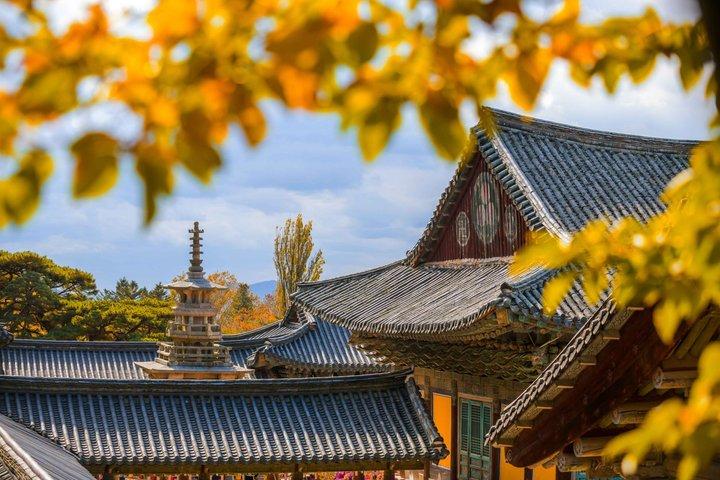 Gyeongju Historic Areas Day Tour with Sky Capsule from Busan
