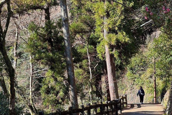 北大阪：勝尾寺だるま寺から箕面滝へ