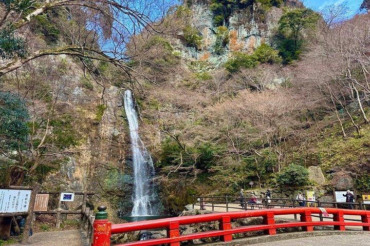 大阪Eバイクツアー：自然、勝尾寺と日本語のチーズケーキ