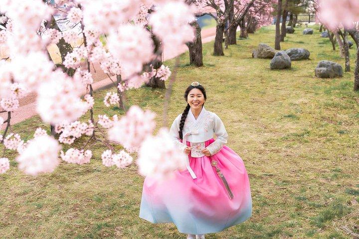 Tour condiviso del villaggio di Jeonju Hanok e del festival dei fiori di pruno