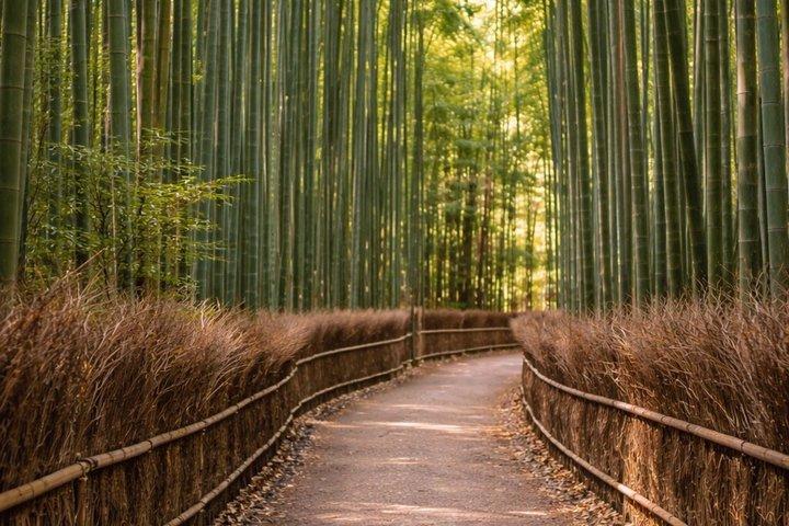 京都・奈良プライベートツアー（英語ガイドとホテルピックアップ付き）