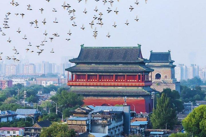 Beijing Forbidden City Hutong Jingshan Park Walk Tour