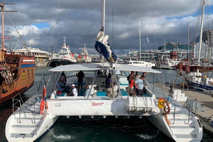 Full Day Private Cape Town and Peninsula Tour