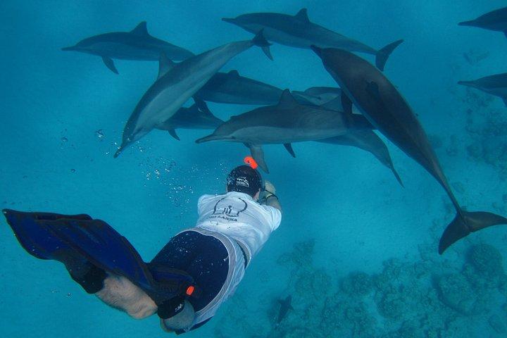 フルガダのマガウィシュ島への豪華クルーズ