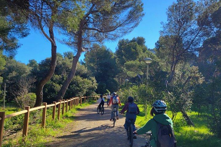 カランクスパノラマe-バイクツアーマルセイユ-国立公園