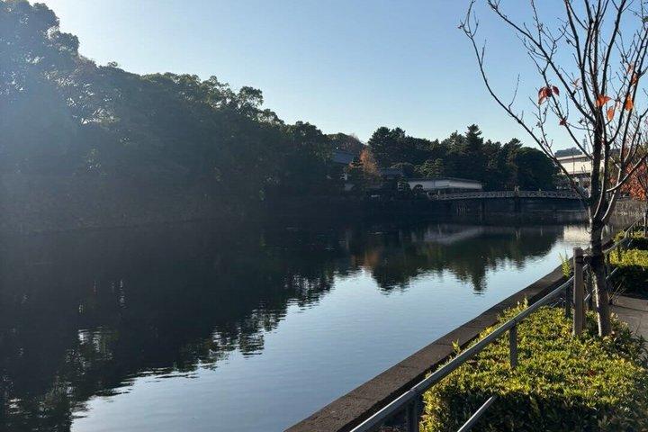 東京 : プライベート皇居歴史散策ツアー