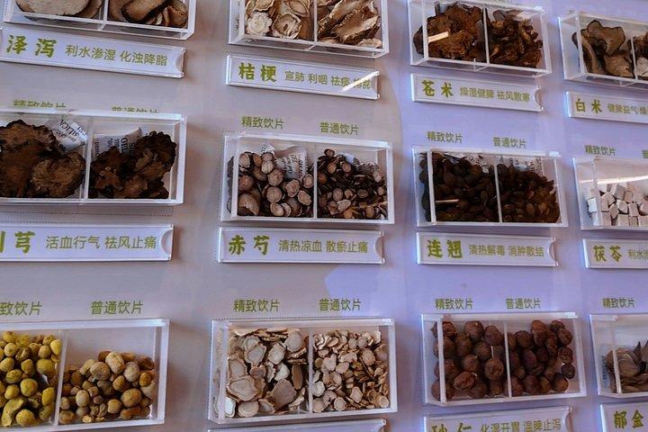上海：太極拳、脈拍読法、TCMによる中国語ウェルネスデー