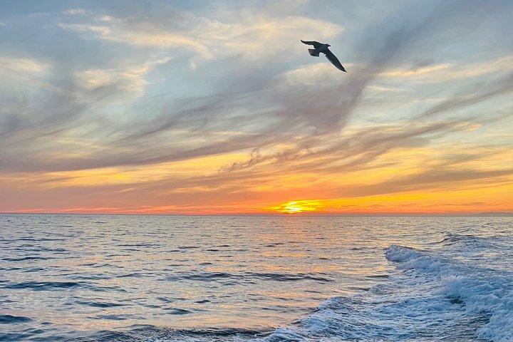 モンテロッソ：チンクエテッレ・ボートツアー（日帰りまたは夕日鑑賞、食前酒付き）