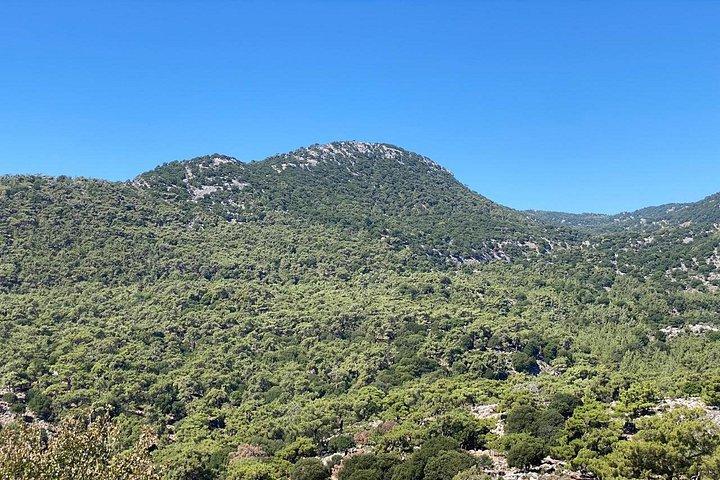 クレタ島 : Kroustas Forest Guided Hiking & Beach Swim