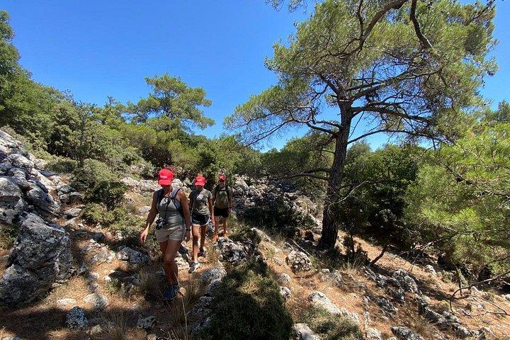 クレタ島 : Kroustas Forest Guided Hiking & Beach Swim