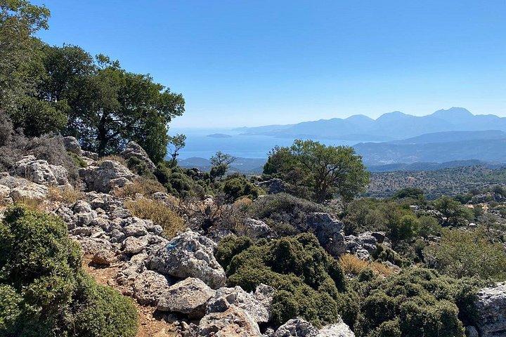 クレタ島 : Kroustas Forest Guided Hiking & Beach Swim