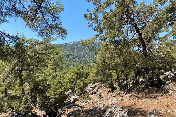 クレタ島 : Kroustas Forest Guided Hiking & Beach Swim