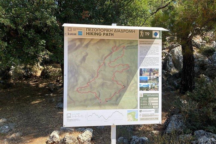クレタ島 : Kroustas Forest Guided Hiking & Beach Swim