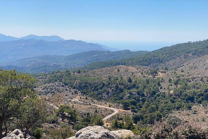 クレタ島 : Kroustas Forest Guided Hiking & Beach Swim