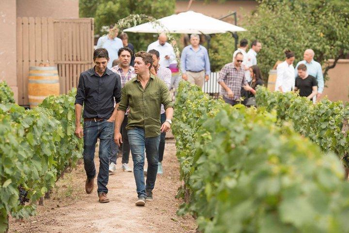 Huarpe Winery Experience & Lunch en Lagarde. Traslado privado