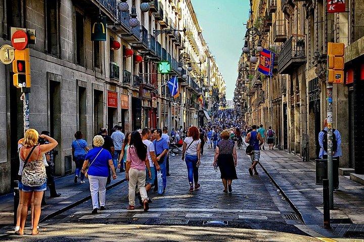 Barcelona Highlights VIP Private Tour