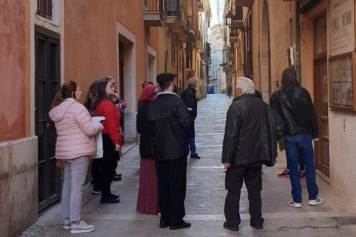 Barcelona Highlights VIP Private Tour