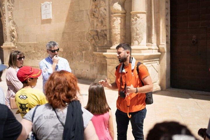 Barcelona Highlights VIP Private Tour