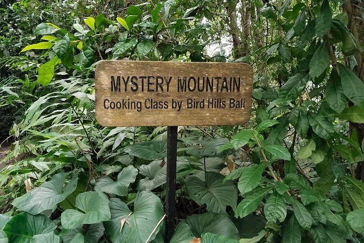 Mystery Mountain Cooking Class Sidemen