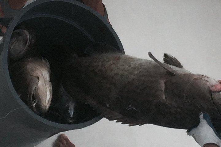 Private 12 Hour Fishing Trip