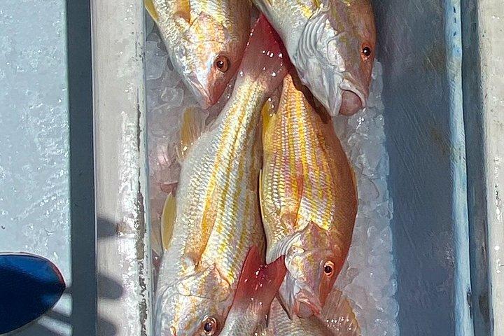 Introductory Private 5 Hour Fishing Experience