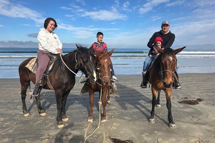 Excursion privée Ensenada : Pick Adventure + Expérience locale