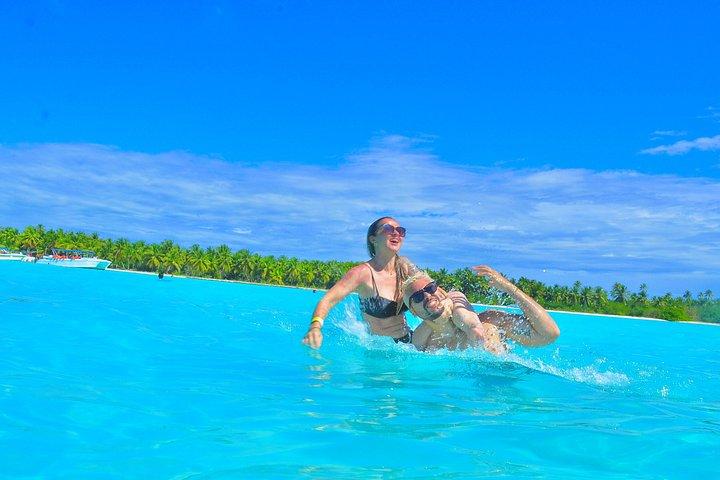 Full Day Tour in Isla Saona with Guide