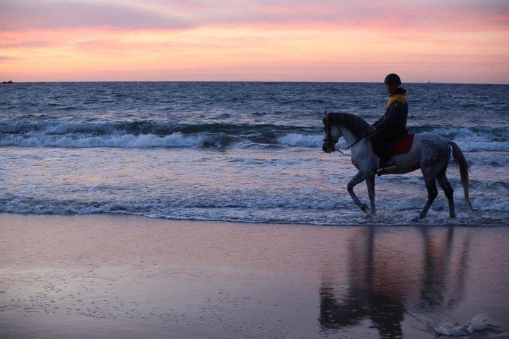 Tanger Mountain und Sea Horseride Adventure