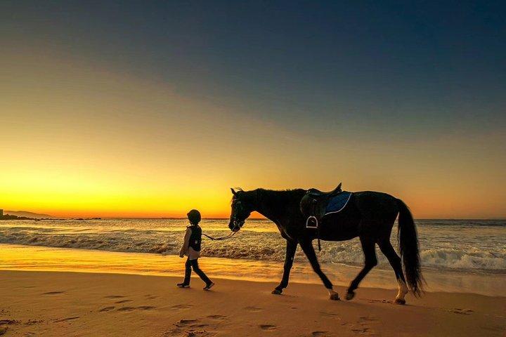 Tanger Mountain und Sea Horseride Adventure