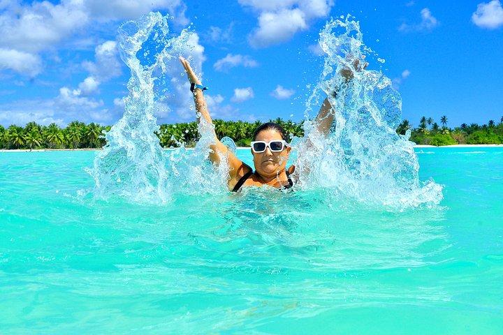 Full Day Tour in Isla Saona with Guide