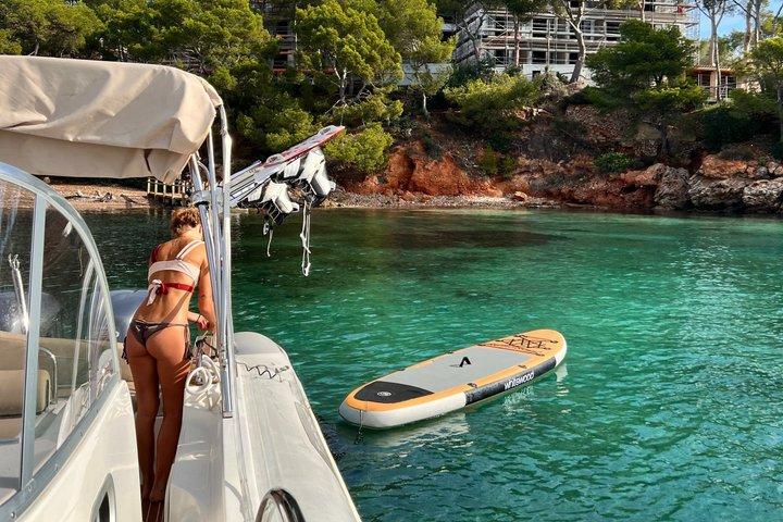 パルマ・デ・マヨルカのプライベートボート旅行（水のおもちゃと25の入り江付き）