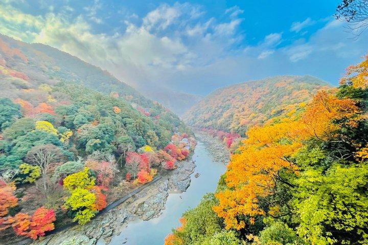 Kyoto Customizable Tour with Guide and Luxury Vehicle