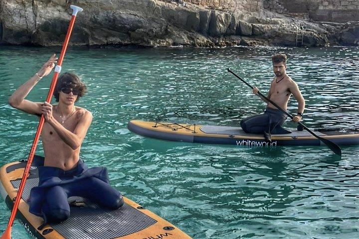 パルマ・デ・マヨルカのプライベートボート旅行（水のおもちゃと25の入り江付き）