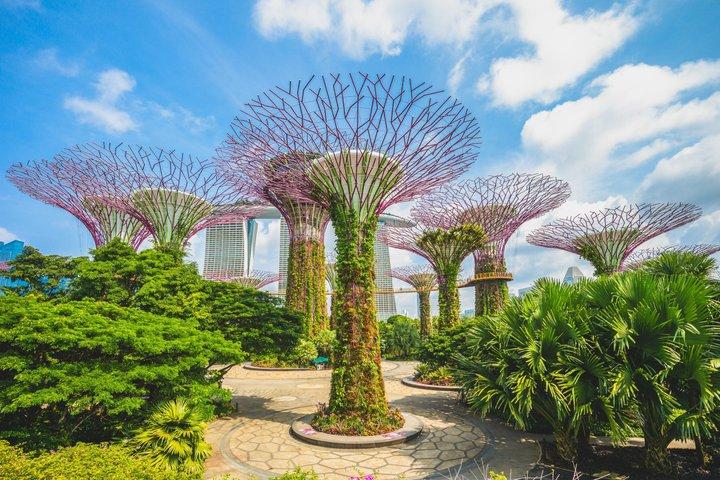 Privat halvdagstur til Singapore