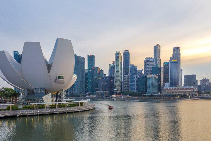 Privat halvdagstur til Singapore