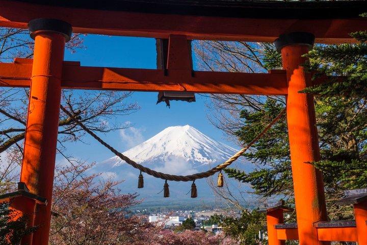 東京発富士山プライベート日帰りツアー|カスタマイズ可能な旅程