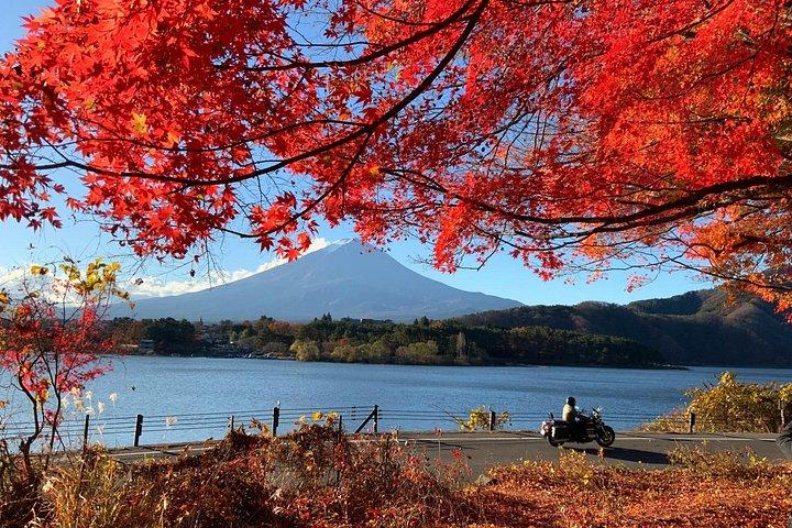 東京発富士山プライベート日帰りツアー|カスタマイズ可能な旅程