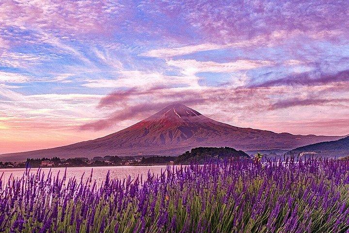 東京発富士山プライベート日帰りツアー|カスタマイズ可能な旅程