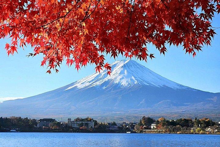 東京発富士山プライベート日帰りツアー|カスタマイズ可能な旅程