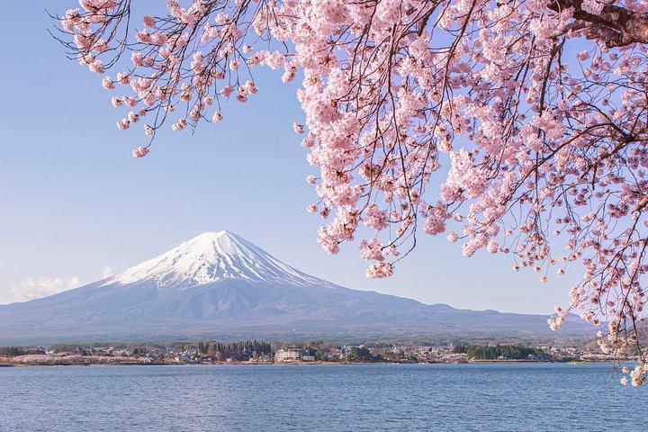 東京発富士山プライベート日帰りツアー|カスタマイズ可能な旅程