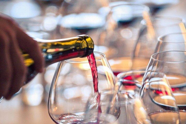 Évora : Histoire, patrimoine et vin de l'Alentejo — Visite privée