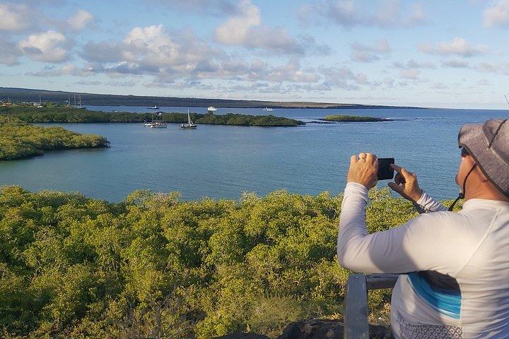 ガラパゴス諸島サンタクルス湾での半日シュノーケリングツアー