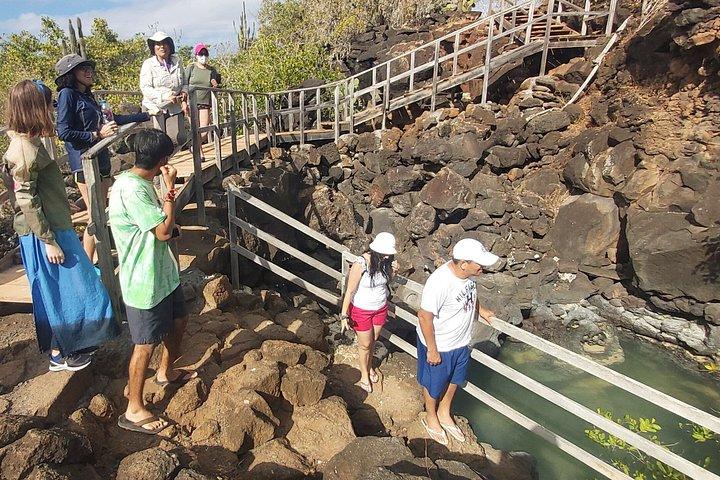 ガラパゴス諸島サンタクルス湾での半日シュノーケリングツアー