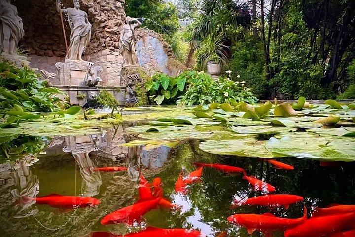 ドゥブロブニク・ビューズ＆トルステノ植物園体験